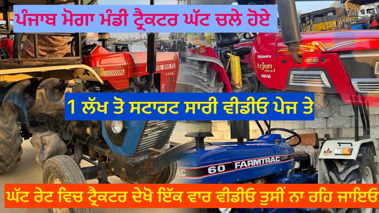 ਮੋਗਾ ਮੰਡੀ ਦੀ ਇੱਕ ਹੋਰ 25/1/2026 ਦੀ ਵੀਡੀਓ 9914755467