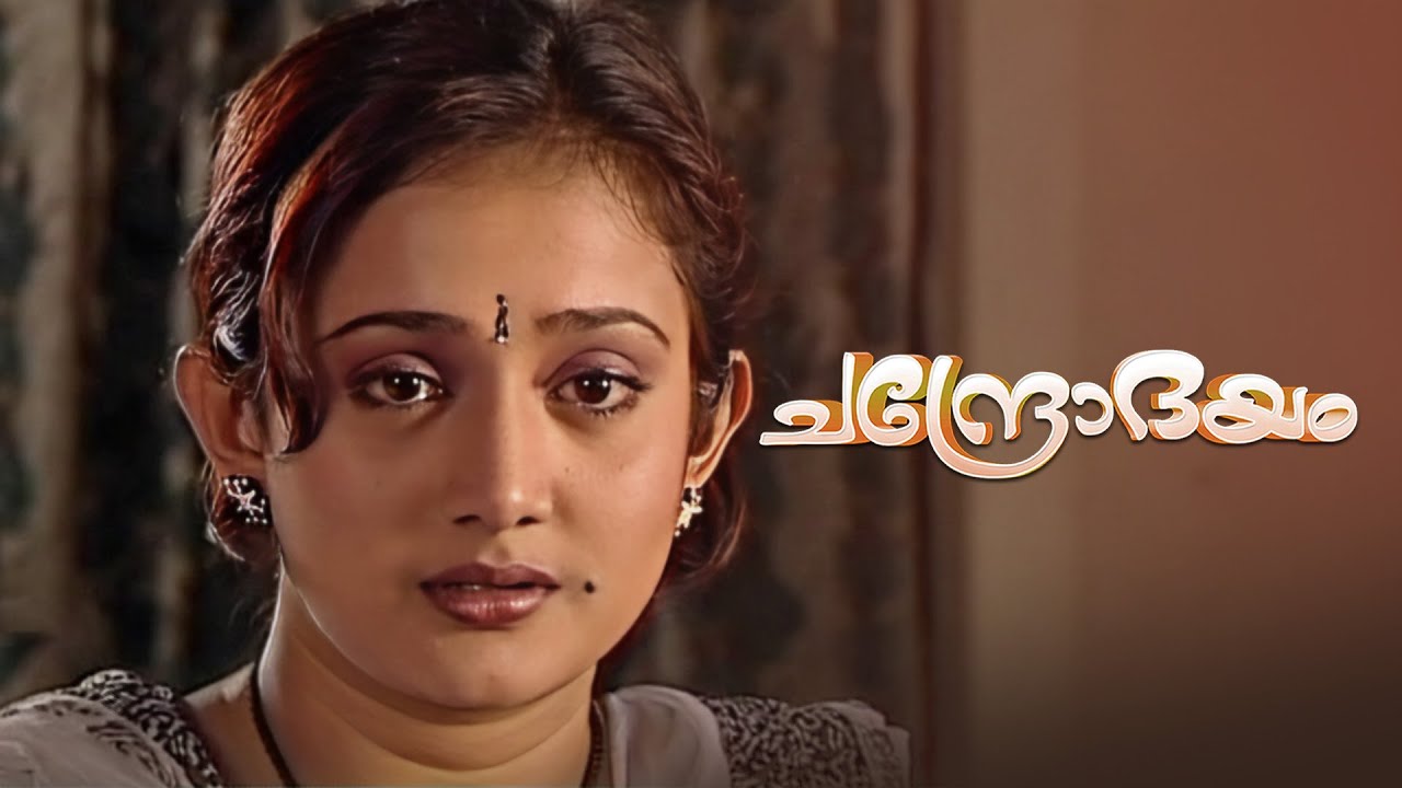 ഞാനുള്ളപ്പോൾ യമുന എന്തിനാ പേടിക്കുന്നെ? Chandrodayam Episode 248 | Malayalam Serial