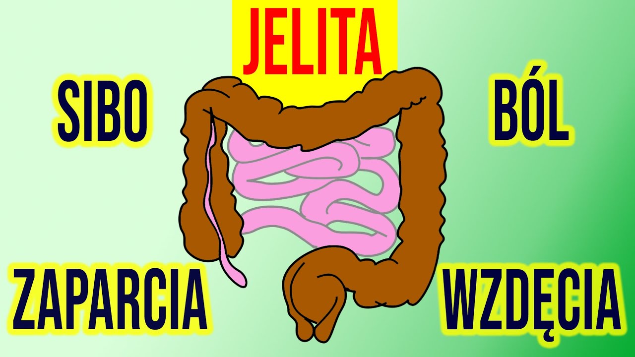 JELITA -  10 rad jak uzdrowić jelita 💖- Flora, SIBO - DIETA, ZIOŁA, SUPLEMENTY