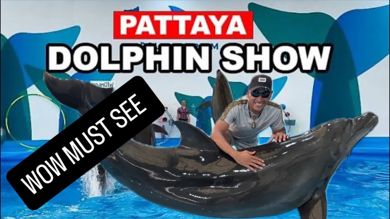 PATTAYA DOLPHINARIUM SHOW (WOW) MUST SEE 