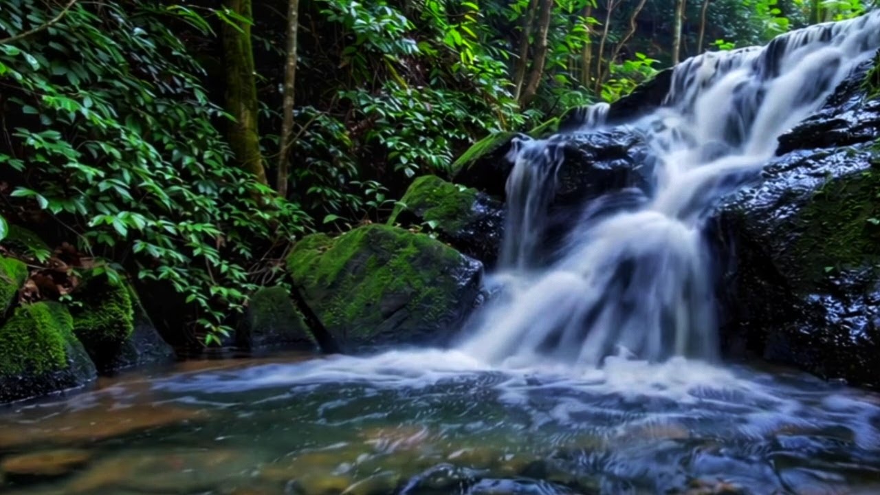 River Sound + Gentle Piano – Sleep Therapy Music for Calm and Balance
