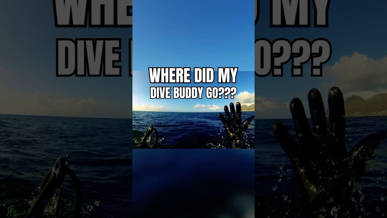 Stop Losing Your Dive Buddy on Every Dive