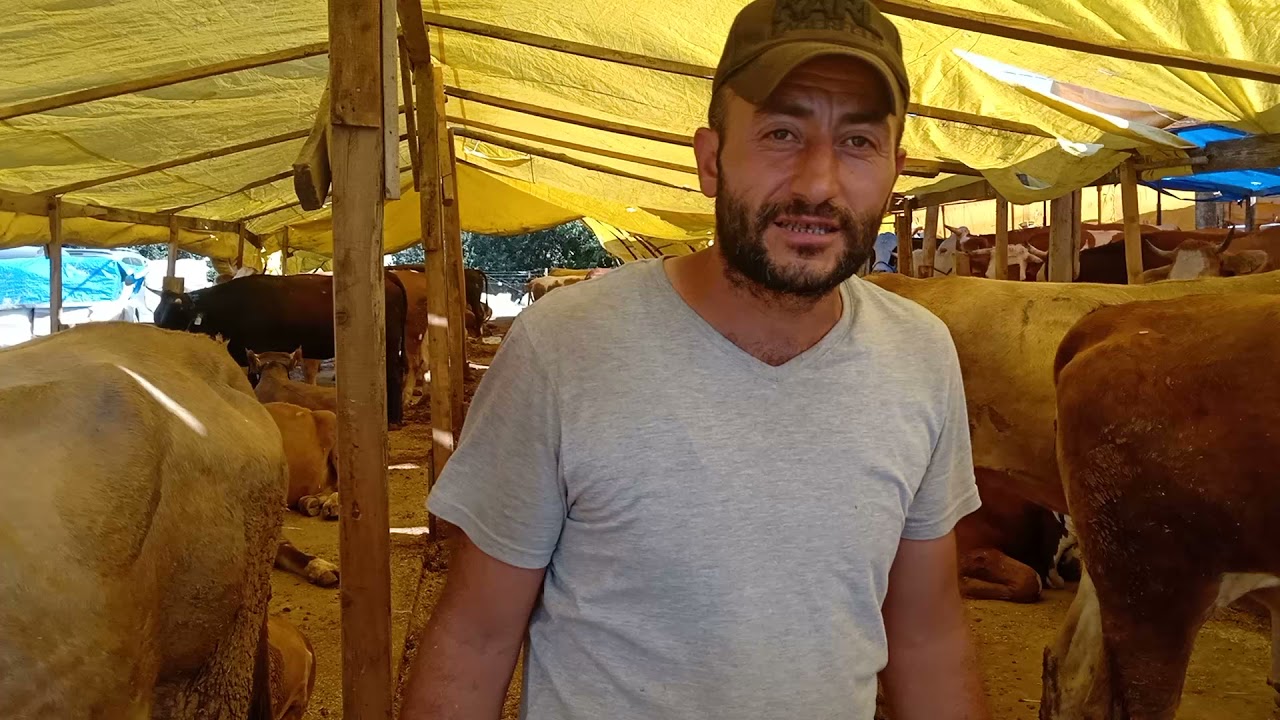 Son Gün Kurban Pazarı Bursa fiyatlar