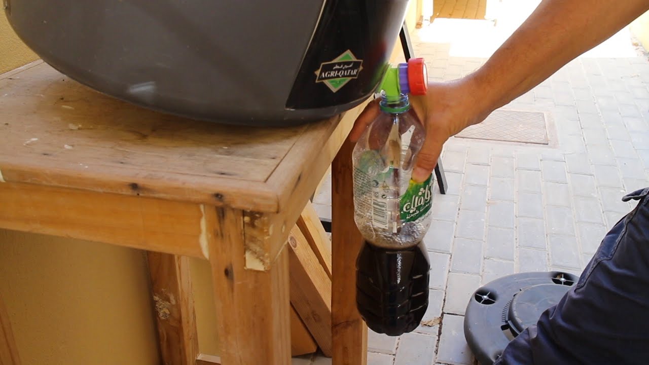Comment j'ai obtenu  2 litres de jus de compost en 2 semaines !