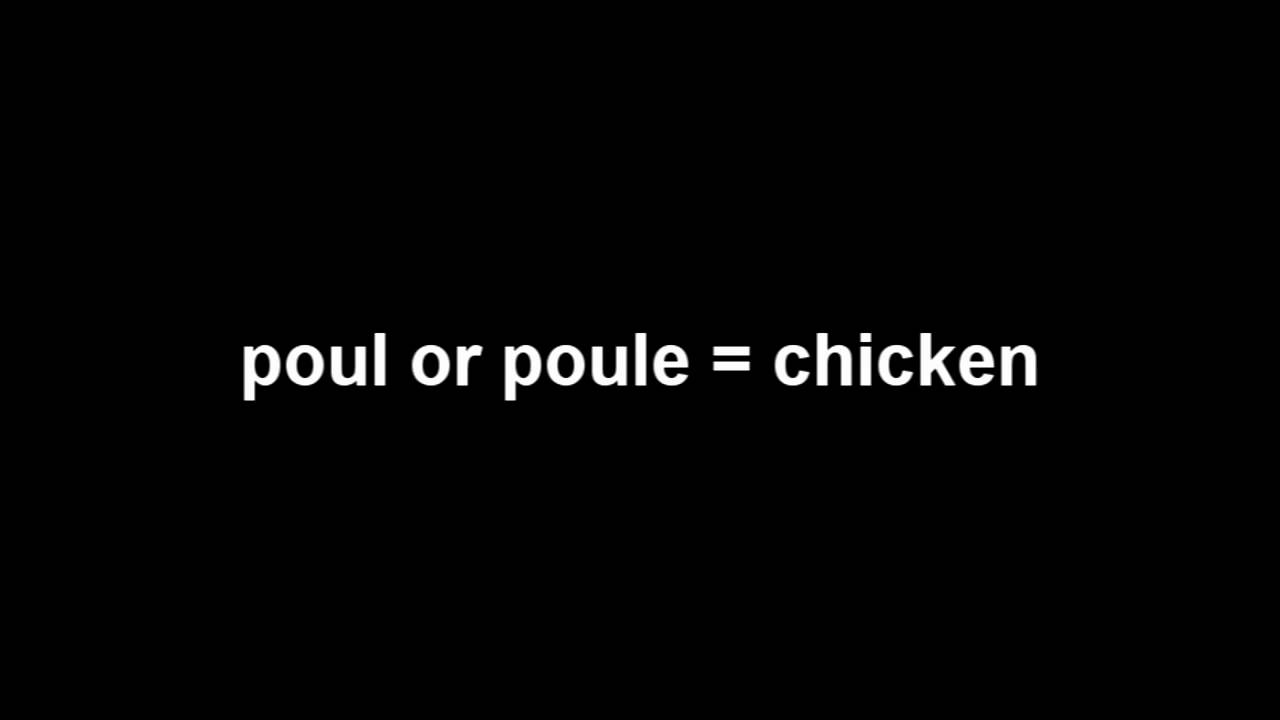 how to speak haitian creole part 2: animals (HD)