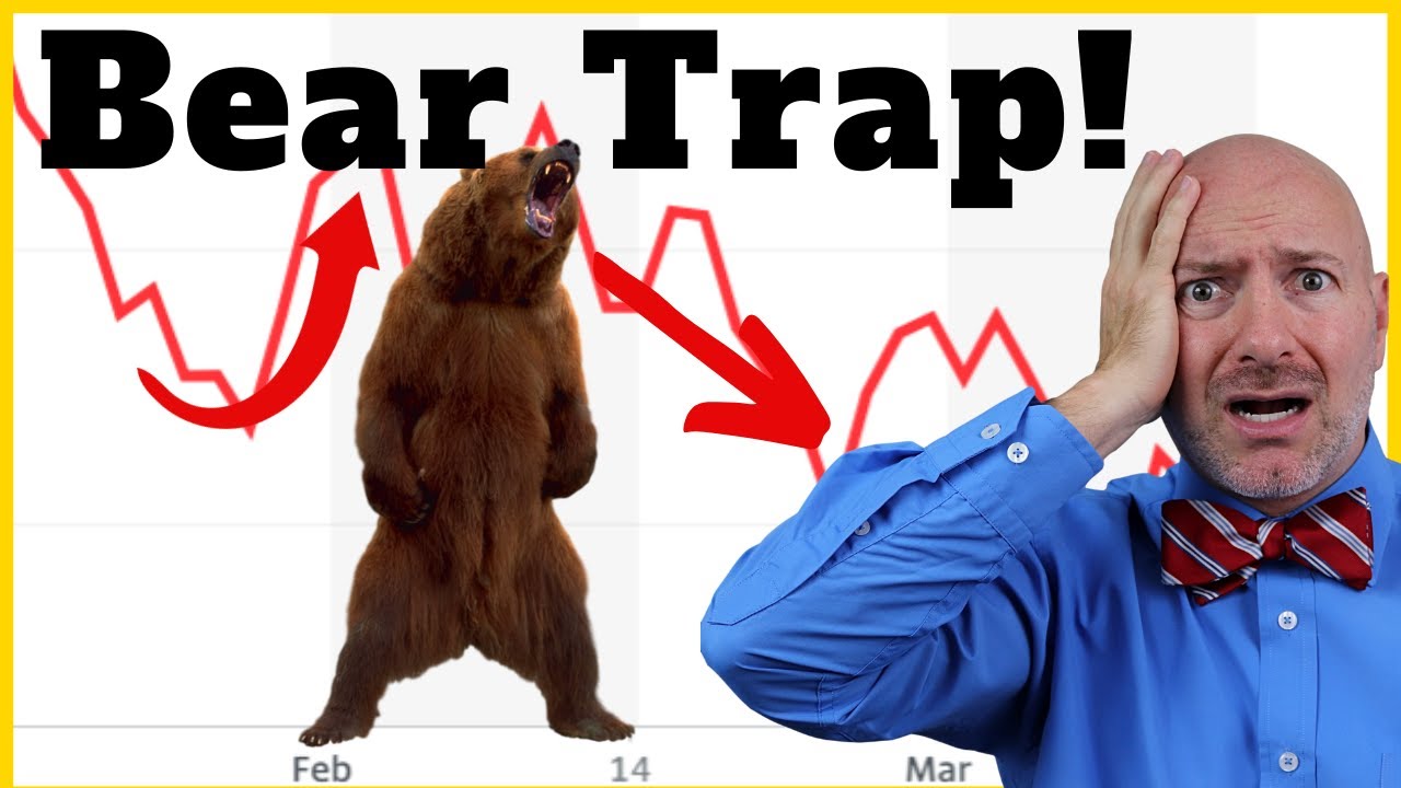What is a Bear Market Rally and How Should You Invest?