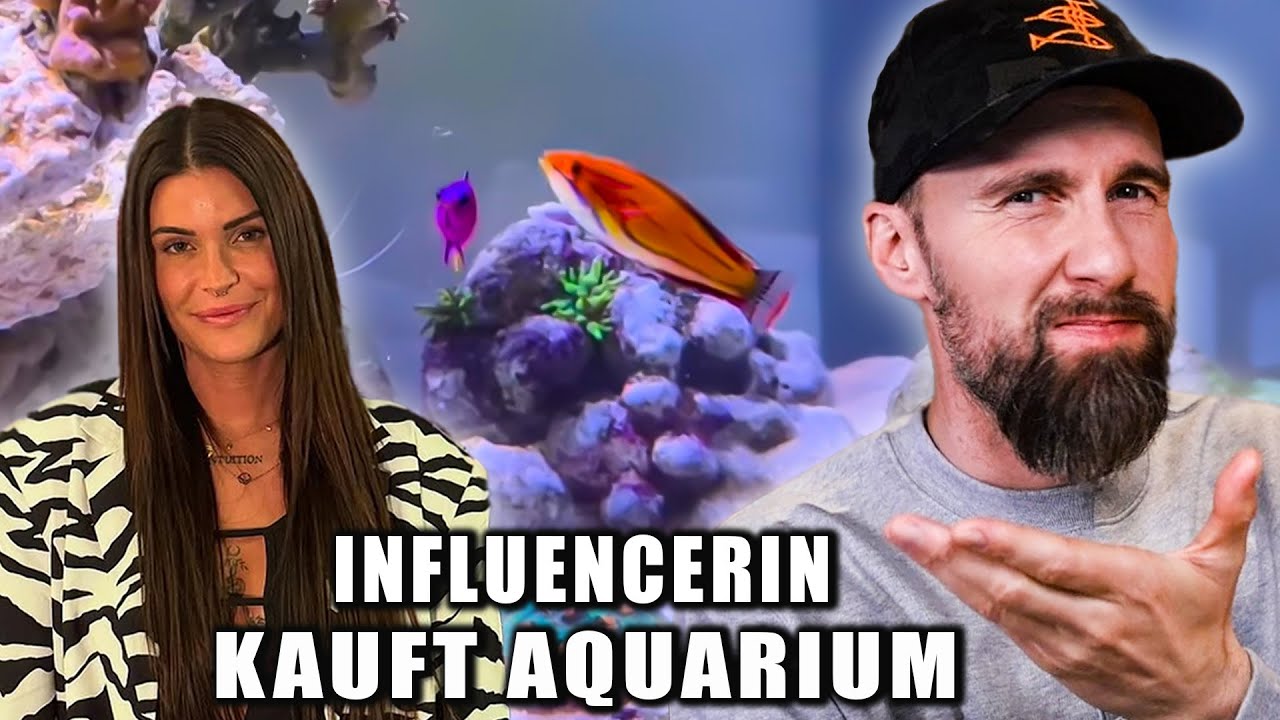 ALLES FALSCH?! Gloria Schwesingers Aussagen über Aquaristik im Faktencheck | Robert Marc Lehmann
