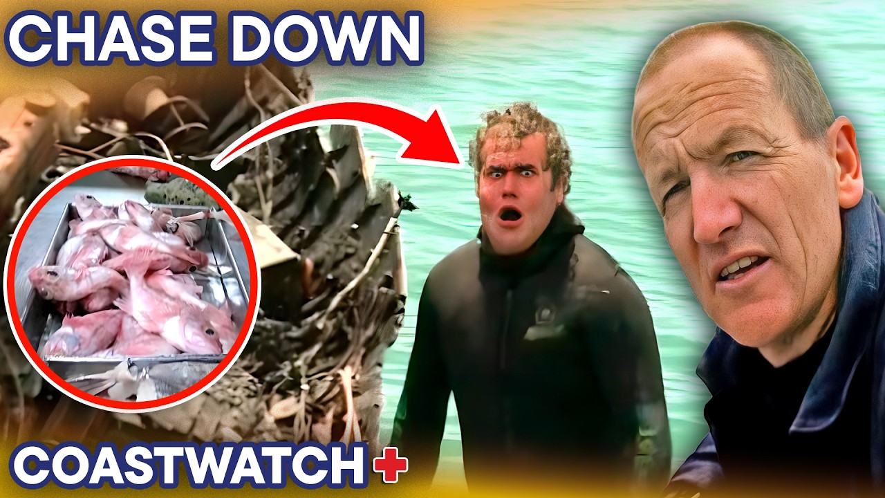 Illegal Poachers Chased By Navy Officers! | Coastwatch - S2 E9 (FULL EPISODE)
