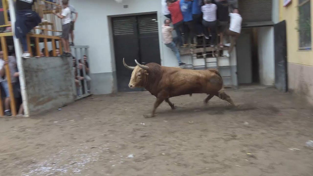 Almazora 2023 Torrestrella