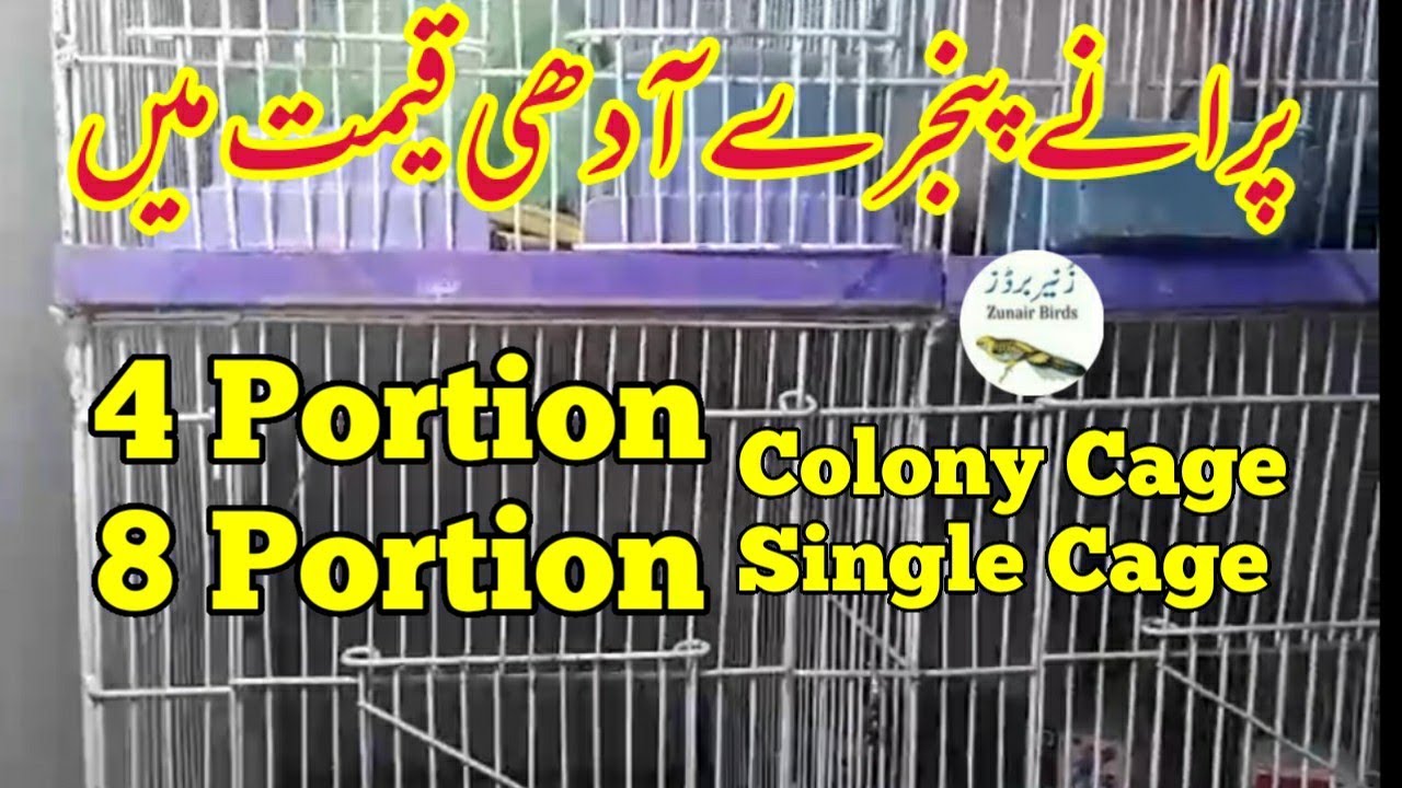 پرانے پنجرے آدھی قیمت میں |old cages half price available|zunair birds