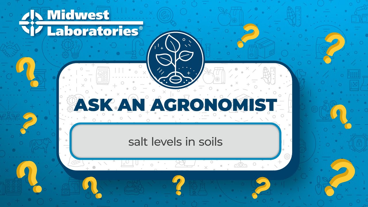 Ask An Agronomist - Salt Levels