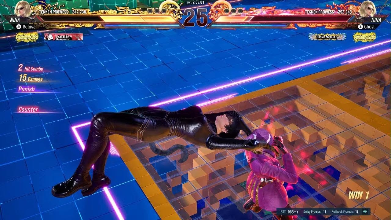 TEKKEN8 Nina mirrors