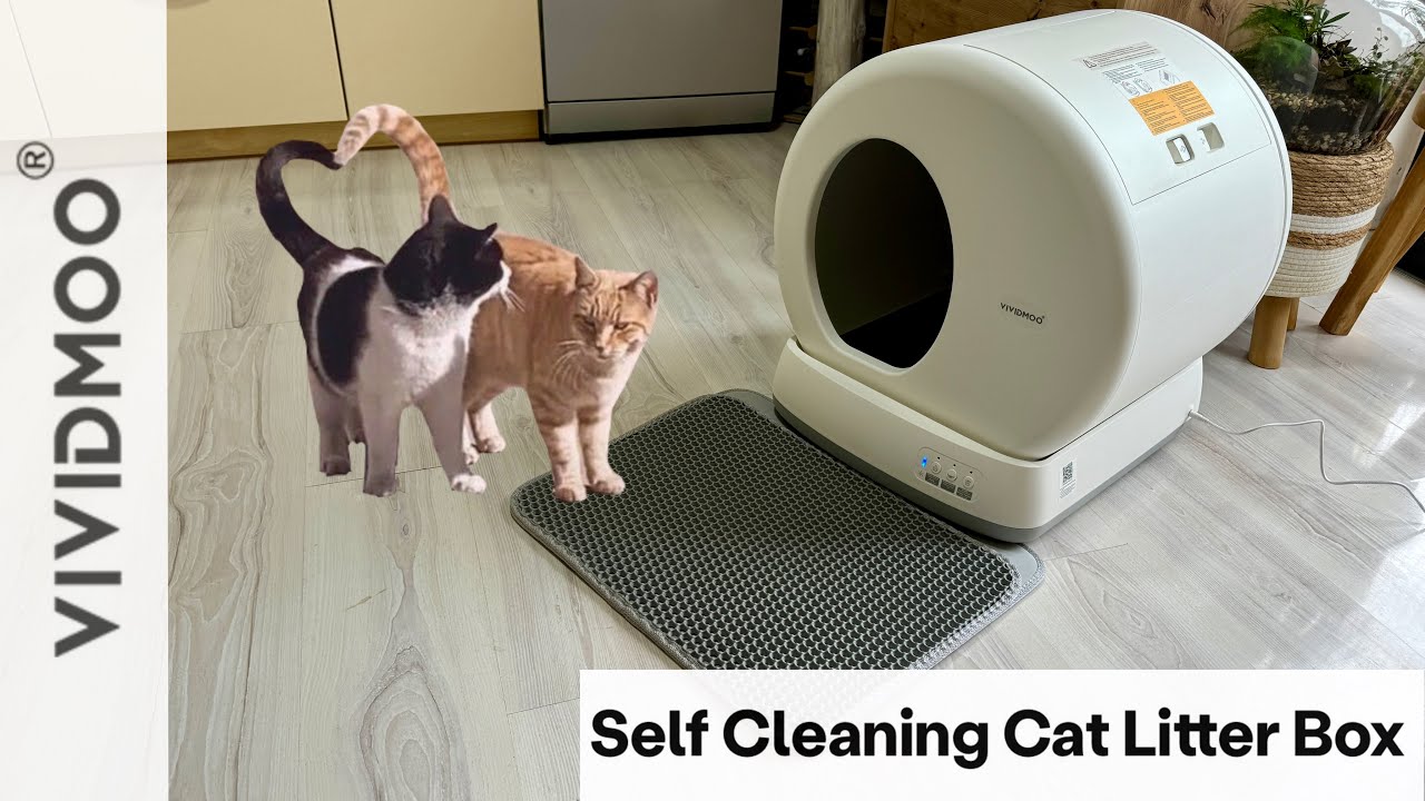 VIVIDMOO - The Best Smart Cat Litter Box