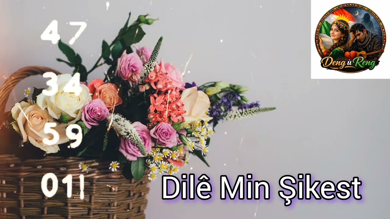Dilê Min Şikest ، انكسر قلبي ❤️ ❤️ 