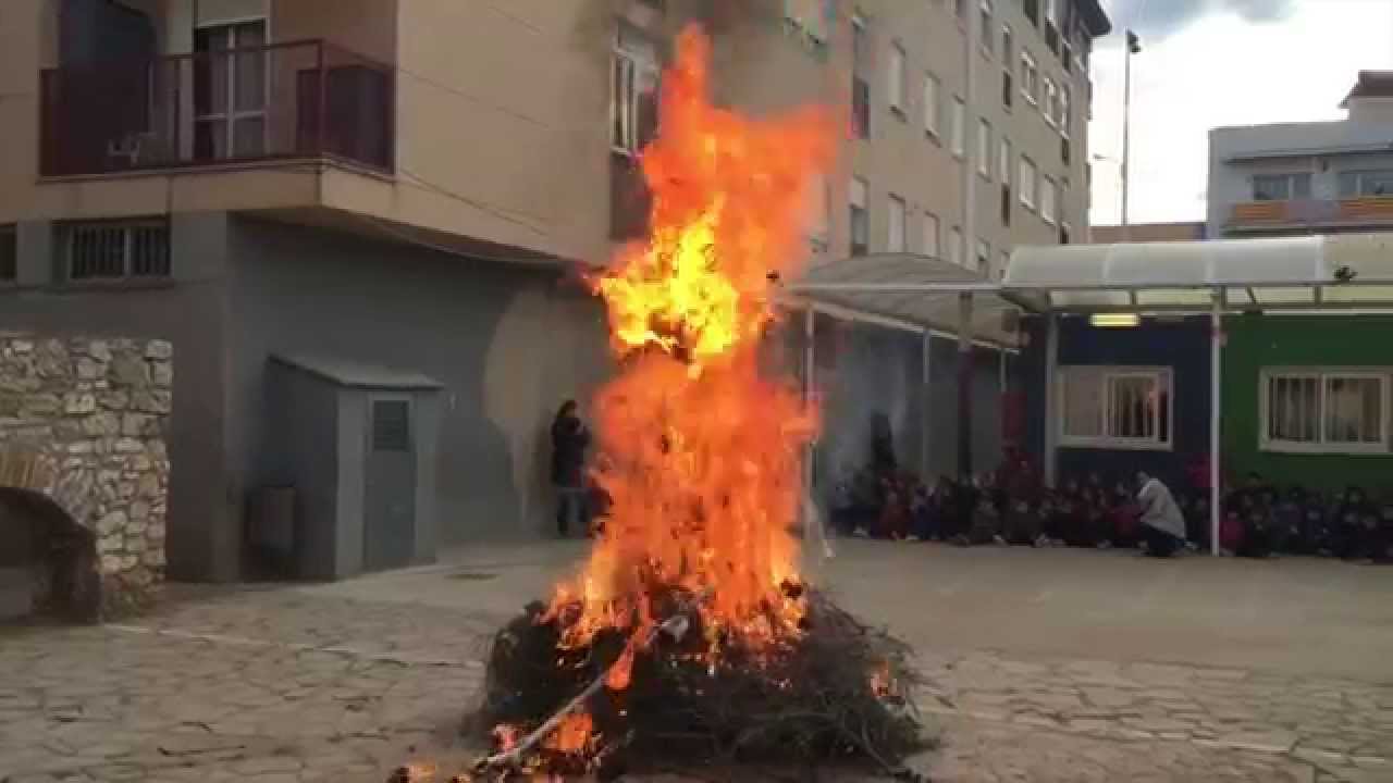 Cremà Sant Antoni 2015