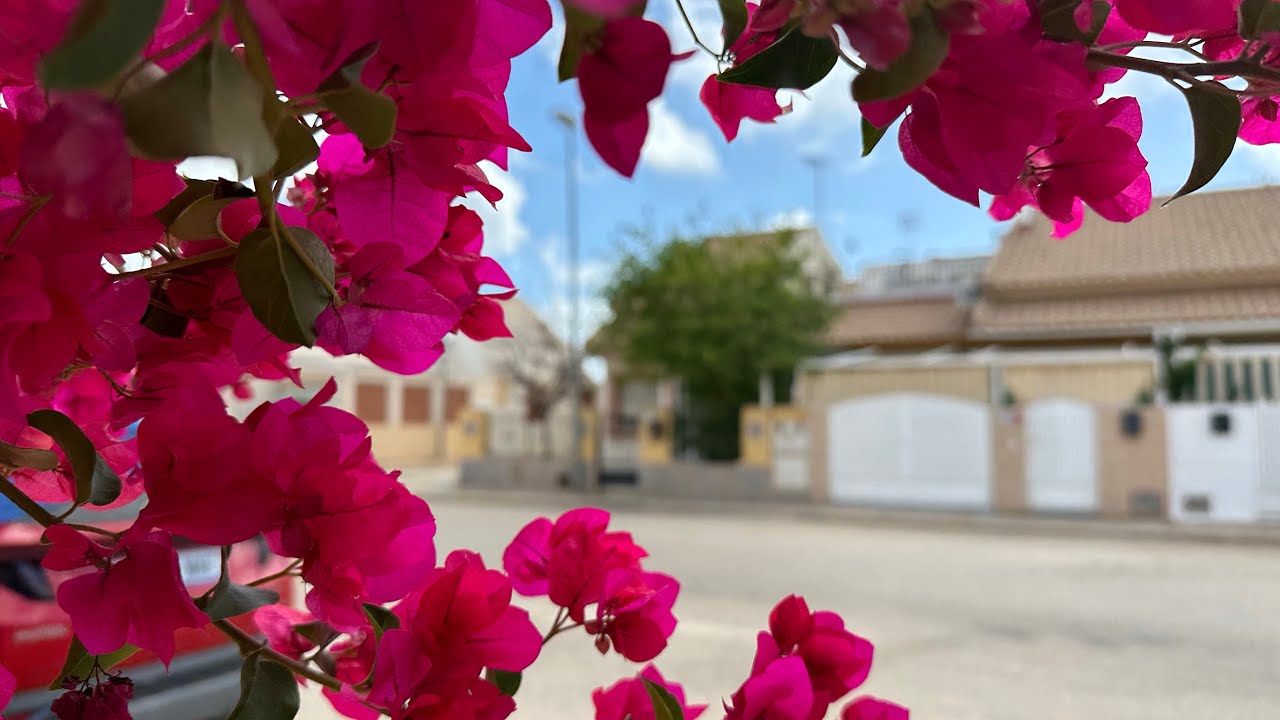 Planta baja de 4 habitaciones en venta en San Pedro del Pinatar. Se vende casa