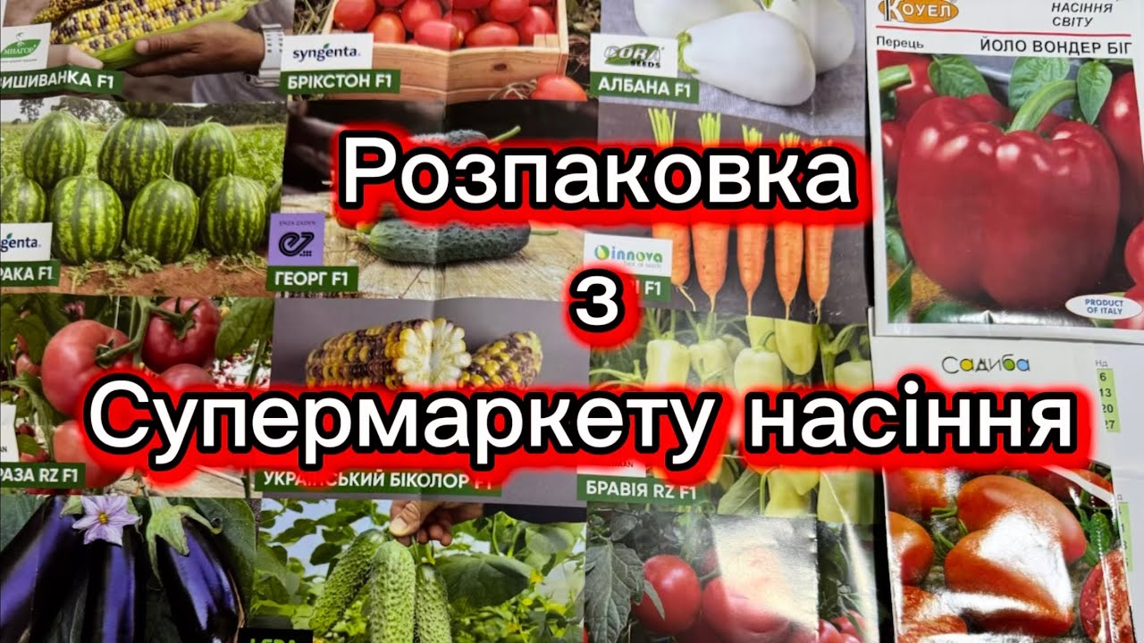 Отримала посилку з Супермаркету насіння номер один 