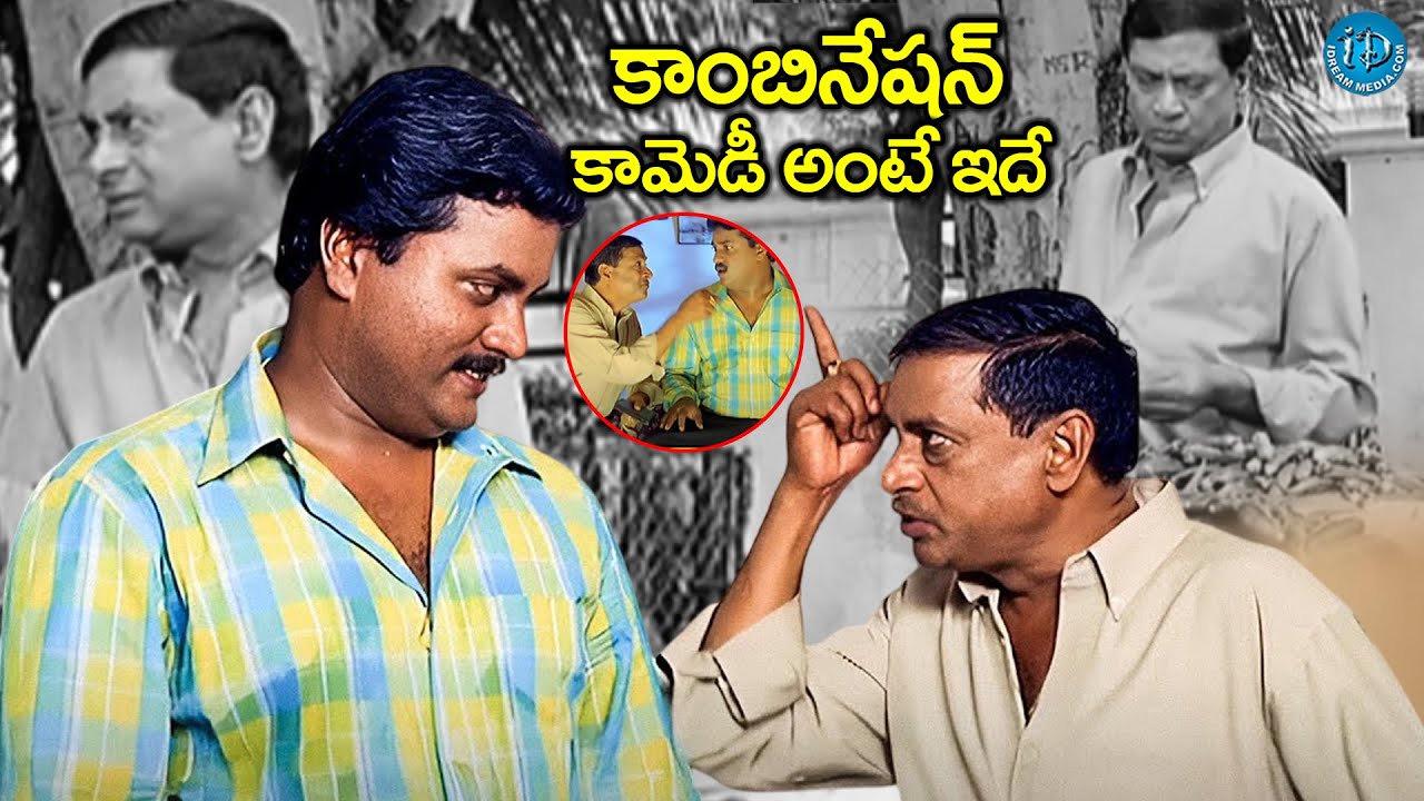 MS Narayana & Sunil Comedy NON STOP Scenes | Sunil | MS Narayana | Telugu Comedy Scenes