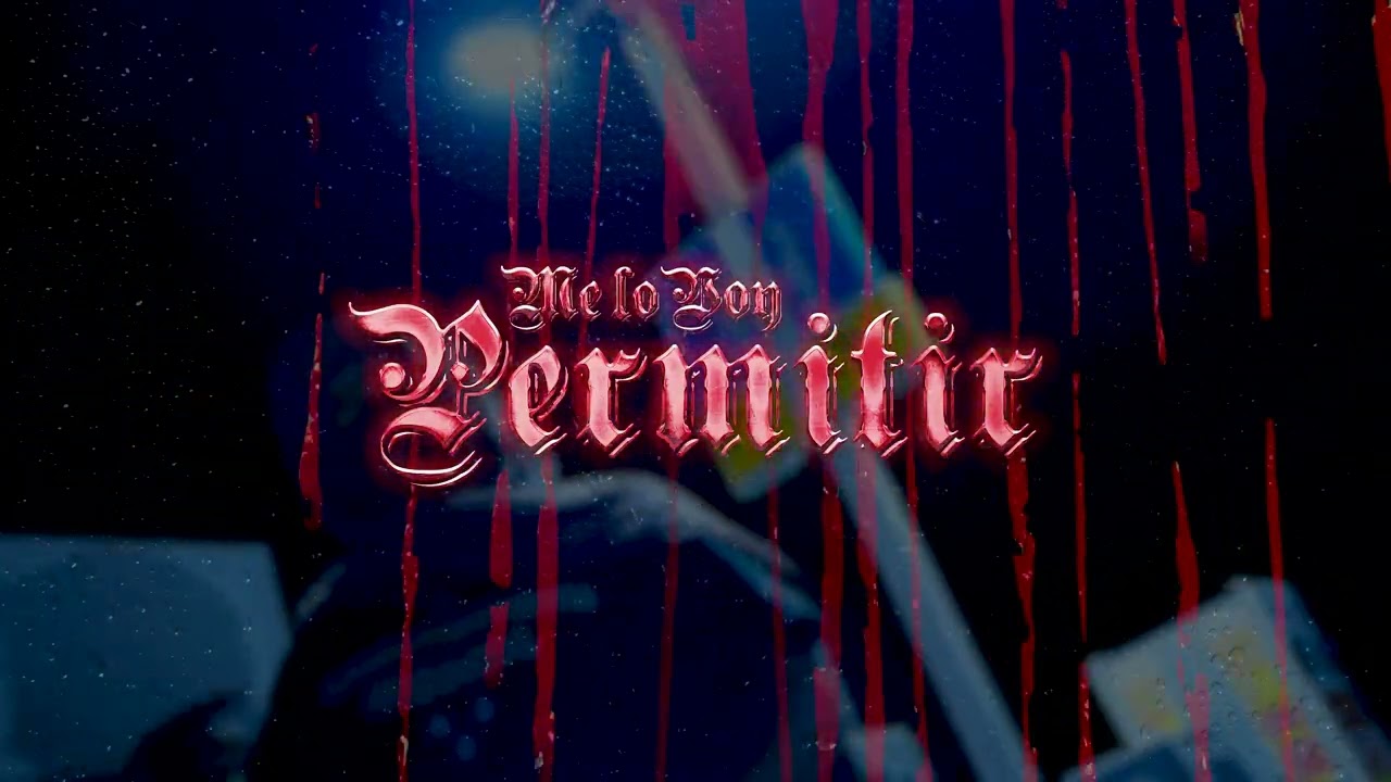 ME LO VOY A PERMITIR