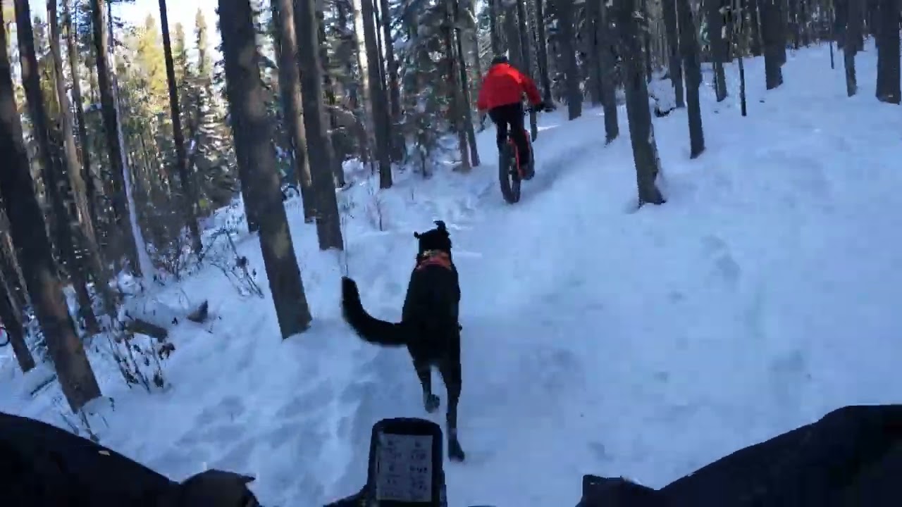 Winter Fat Biking West Bragg Creek, AB. Feb 17/2024