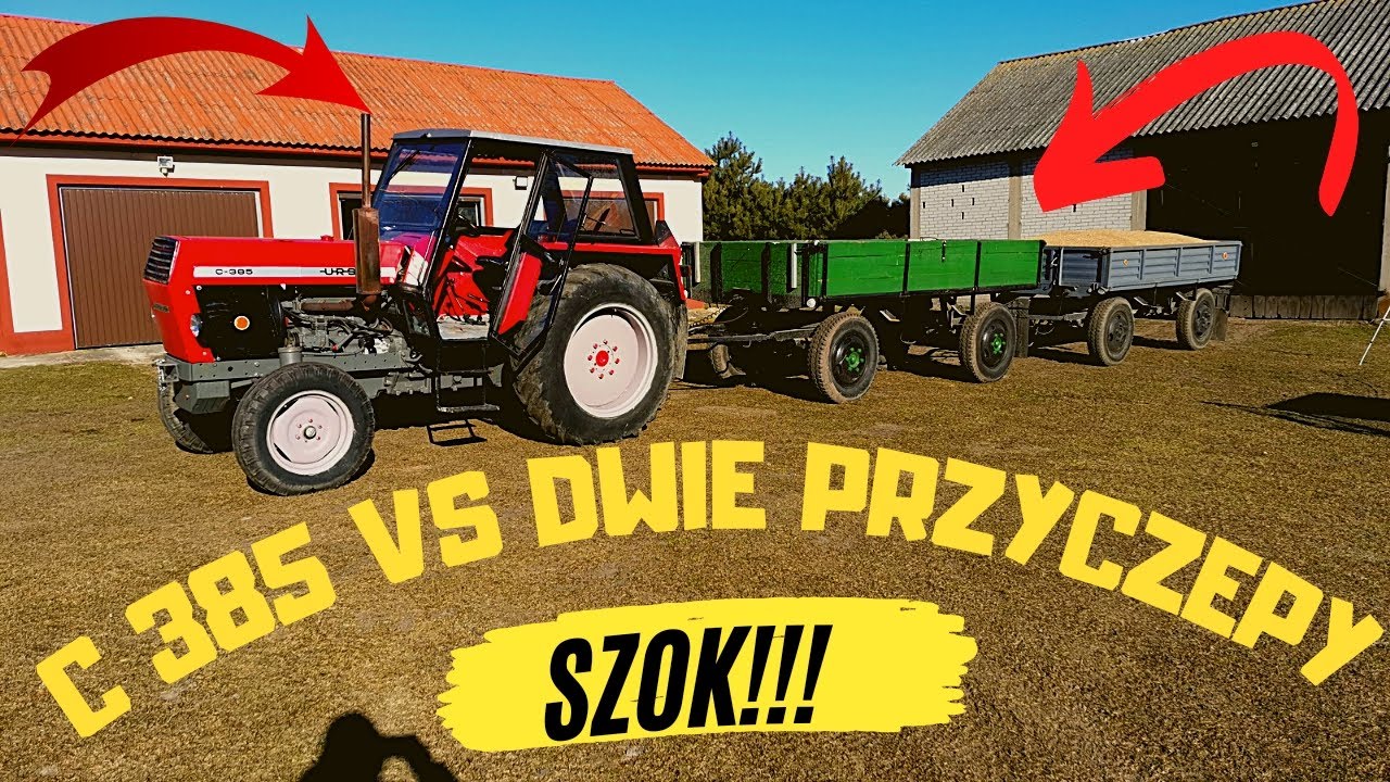 Szok!!! Cenowy Sprzedaż Pszenicy zakup NPK | Ursus C 385 i Dwie Przyczepy