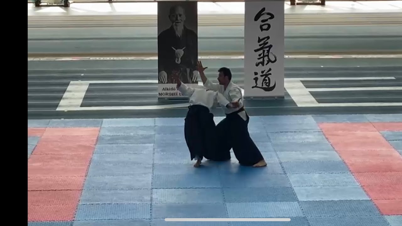 All Spain Aikido Enbutaikai. Sabadell. Aikido Afamadrid. Maestro Alberto Garc&iacute;a Luengo 5 DAN.