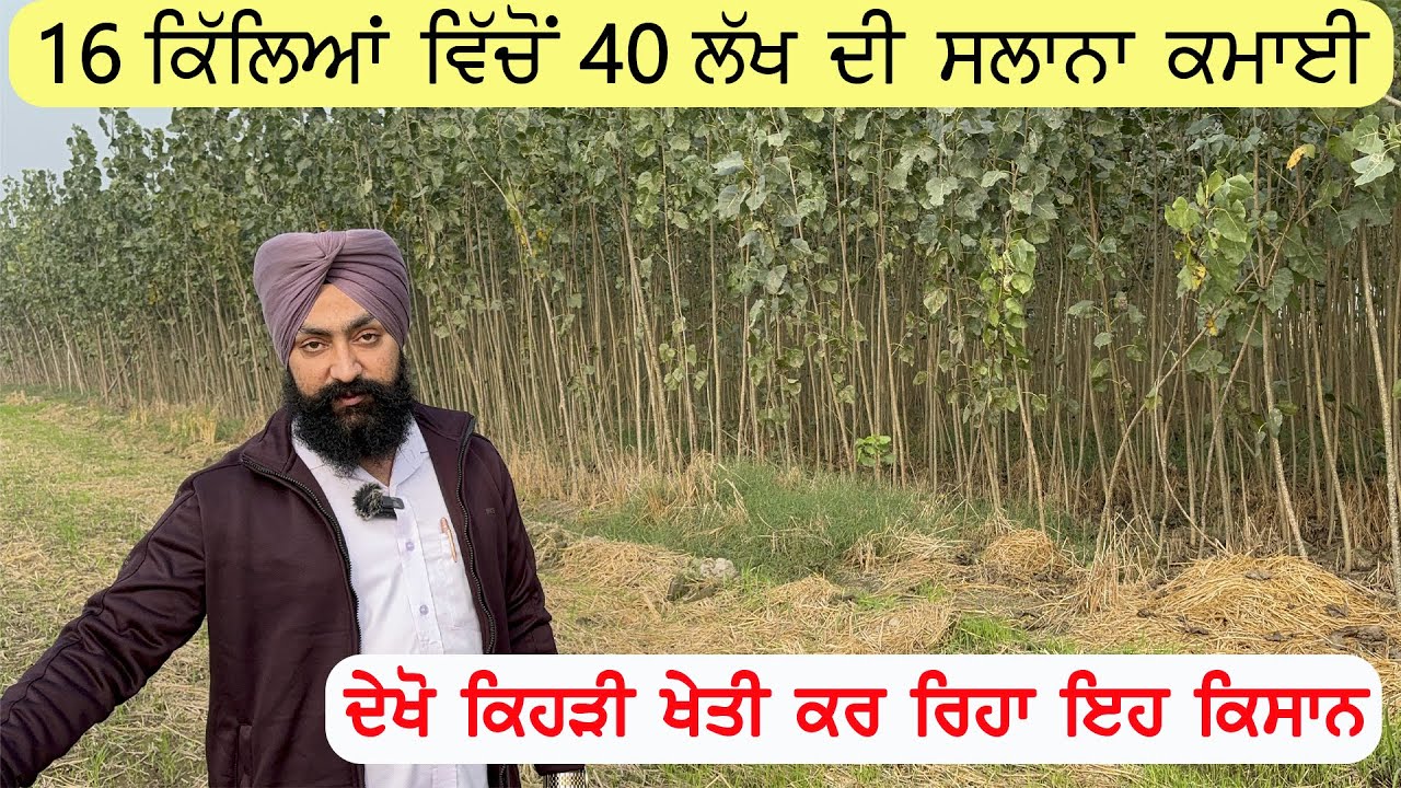 ਜੇਕਰ ਇਸ ਵੀਰ ਵਾਂਗੂ ਖੇਤੀ ਕਰਨ ਕਿਸਾਨ ਤਾ ਹੋ ਜਾਣਗੇ ਮਾਲਾਮਾਲ ਰੁਪਈਏ ਸਾਂਭੇ ਨਹੀਂ ਜਾਣੇ