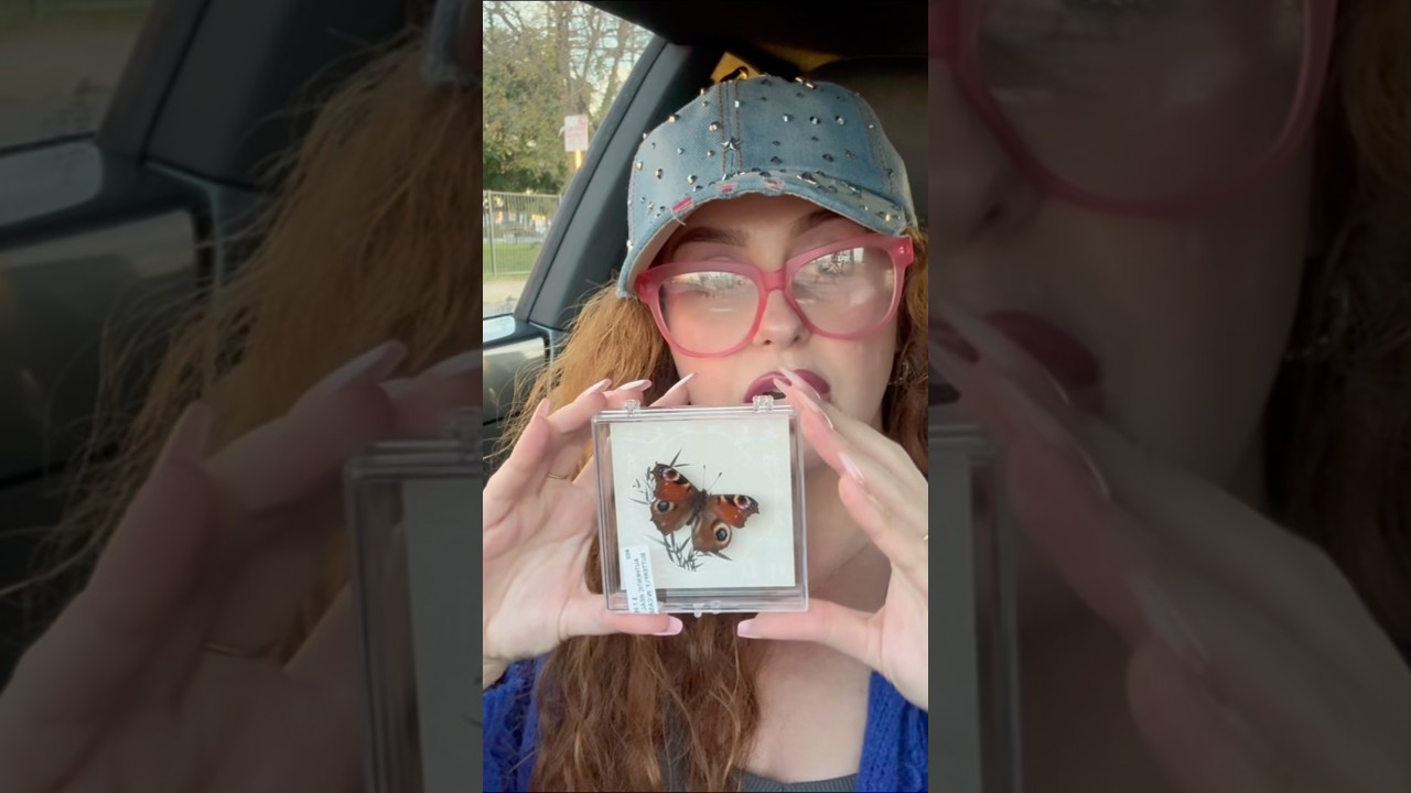 ✨💌MY ANTIQUE HAUL🦋