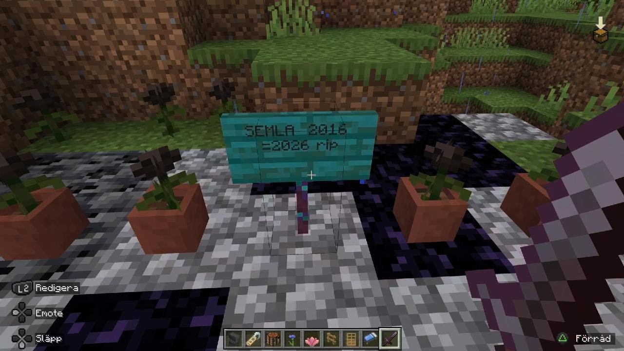 Minecraft_20260215084931