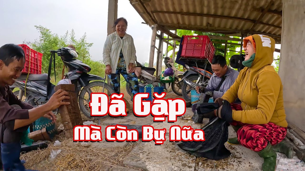 Trúng Ngay Địa Điểm Còn Rắn Lớn, Ít Mà Chất Lượng # CSSB # Tập 23