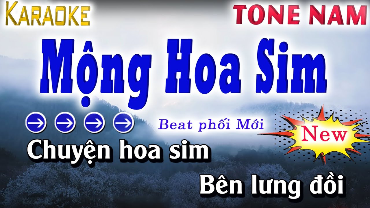 Mộng Hoa Sim Karaoke Tone Nam Thấp ( Beat Phối Mới Nhất 2025 )