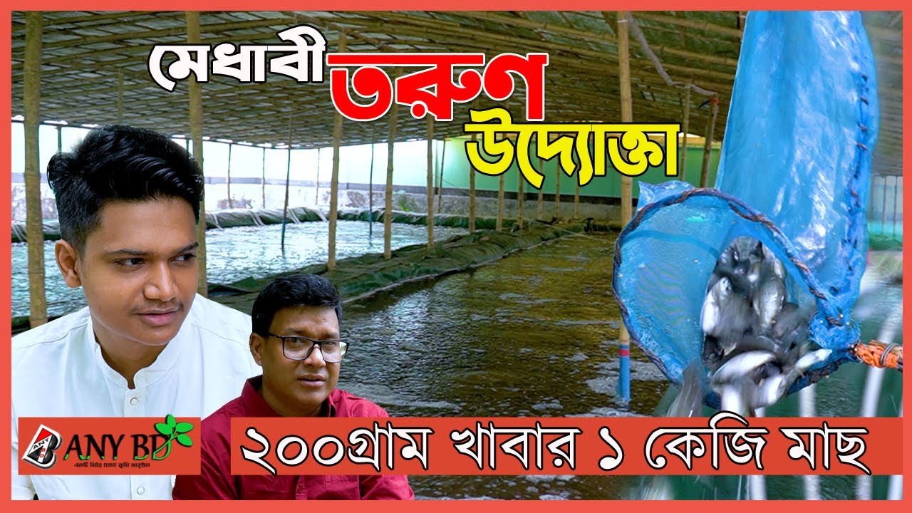 প্রবাসী ভাইদের জন্য বিশ্ববিদ্যালয়ের মেধাবী তরুণ উদ্যোক্তার পরামর্শ। বায়োফ্লক পদ্ধতি ১০০ % সফল