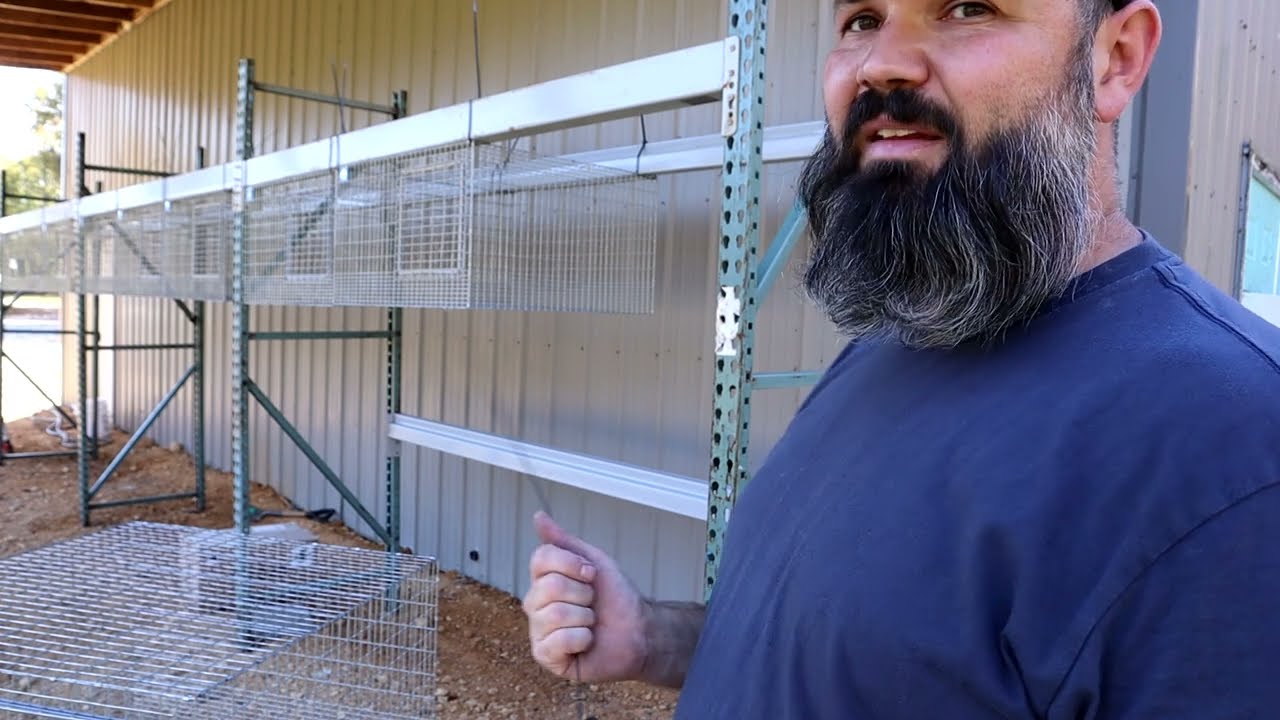 Лучшие подвесные клетки для кроликов | KW Cages
