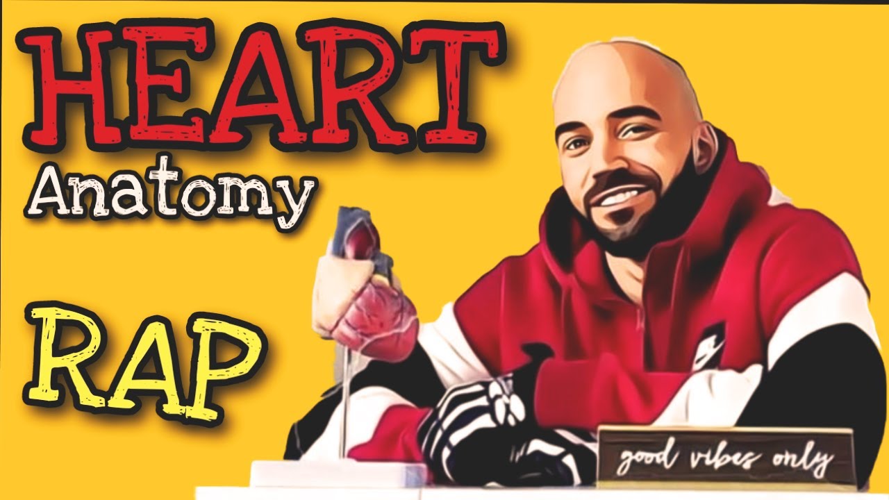 How Blood Flows Through the Heart ( Explained in a Rap)