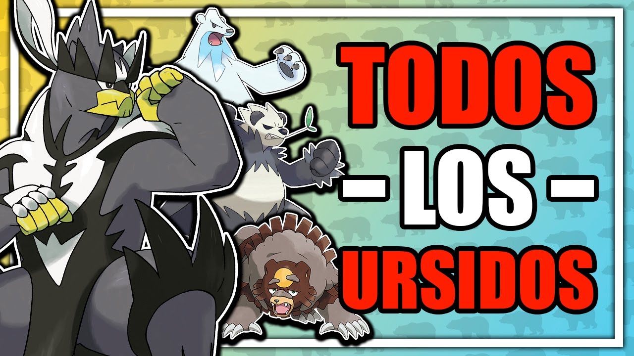 EXPLICANDO TODOS los OSOS POKÉMON
