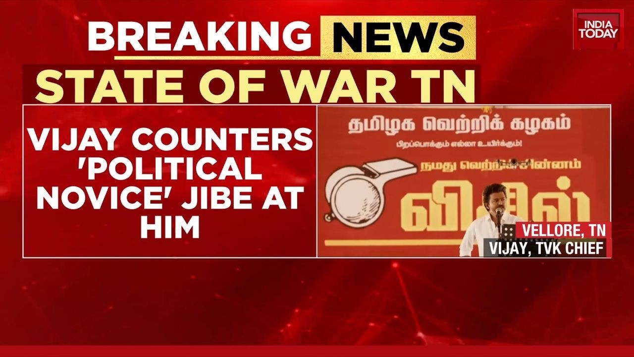 Tamil Nadu Elections: 'This Is A War Between Vijay And Stalin', Says Political Leader