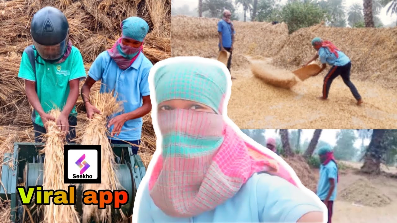 हुरूले दाल दा पोनया कोड़ा ते🌾seekho app se😀: Santali Vlog video: new Santali video Gangaram hembrom