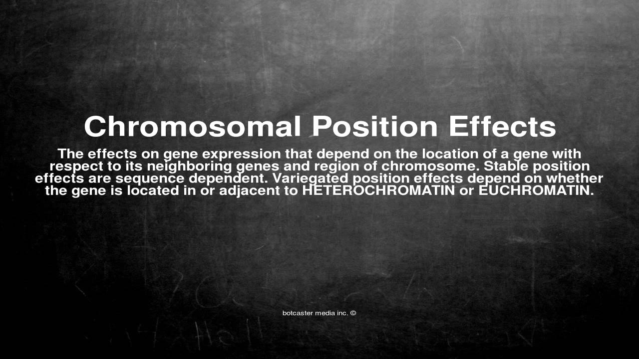 Medical vocabulary: What does Chromosomal Position Effects mean