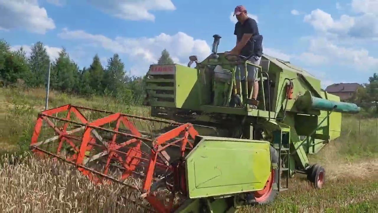 Claas consul, żniwa. Dał radę czy nie? #farming #nature #agriculture