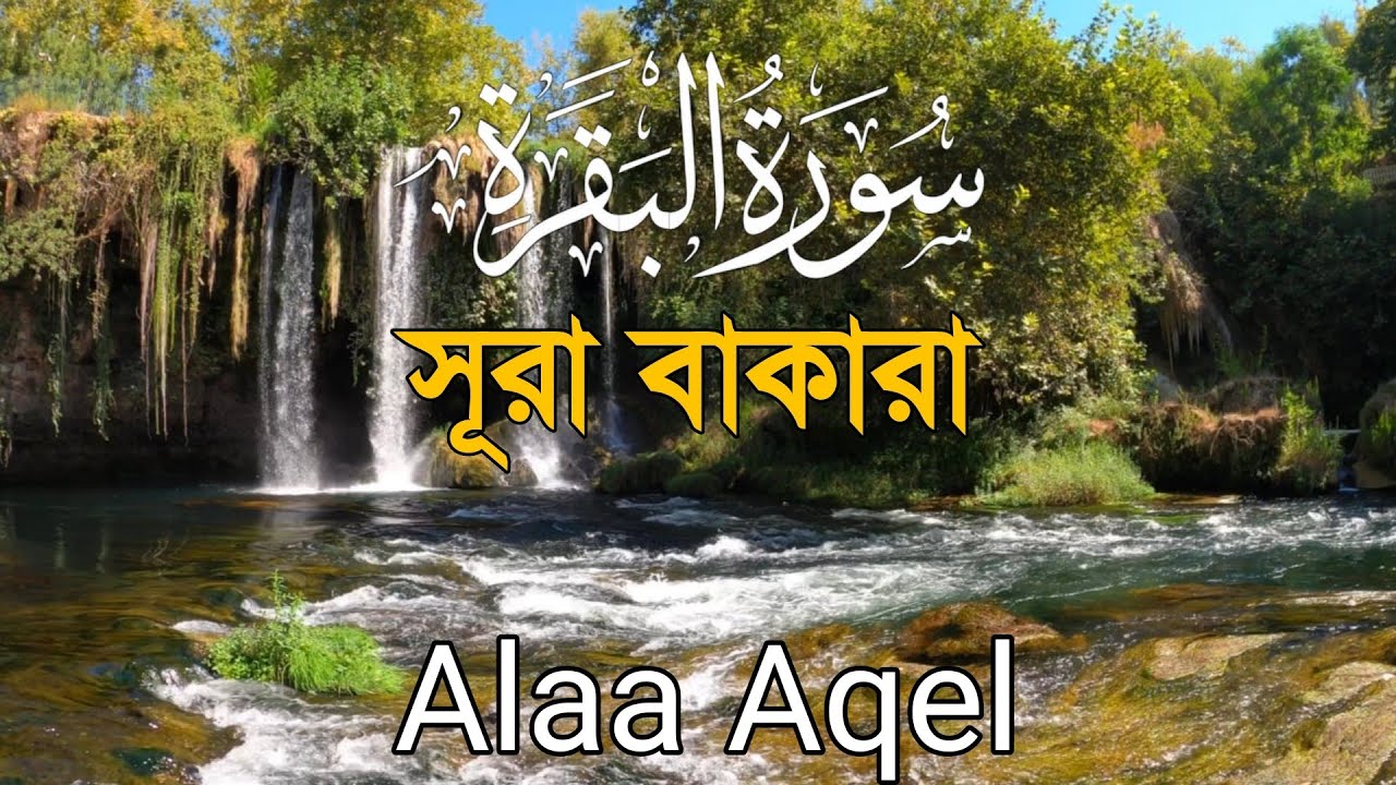 ঘরের সুখ-শান্তি ও রিজিক বৃদ্ধির জন্য সূরা বাকারা তিলাওয়াত| Surah Al Baqarah Full Quran