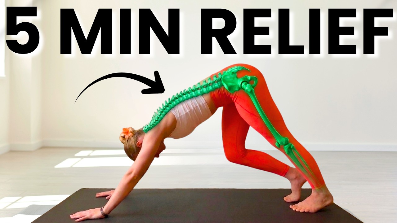 Easy 5 Minute Morning Full Body Stretches