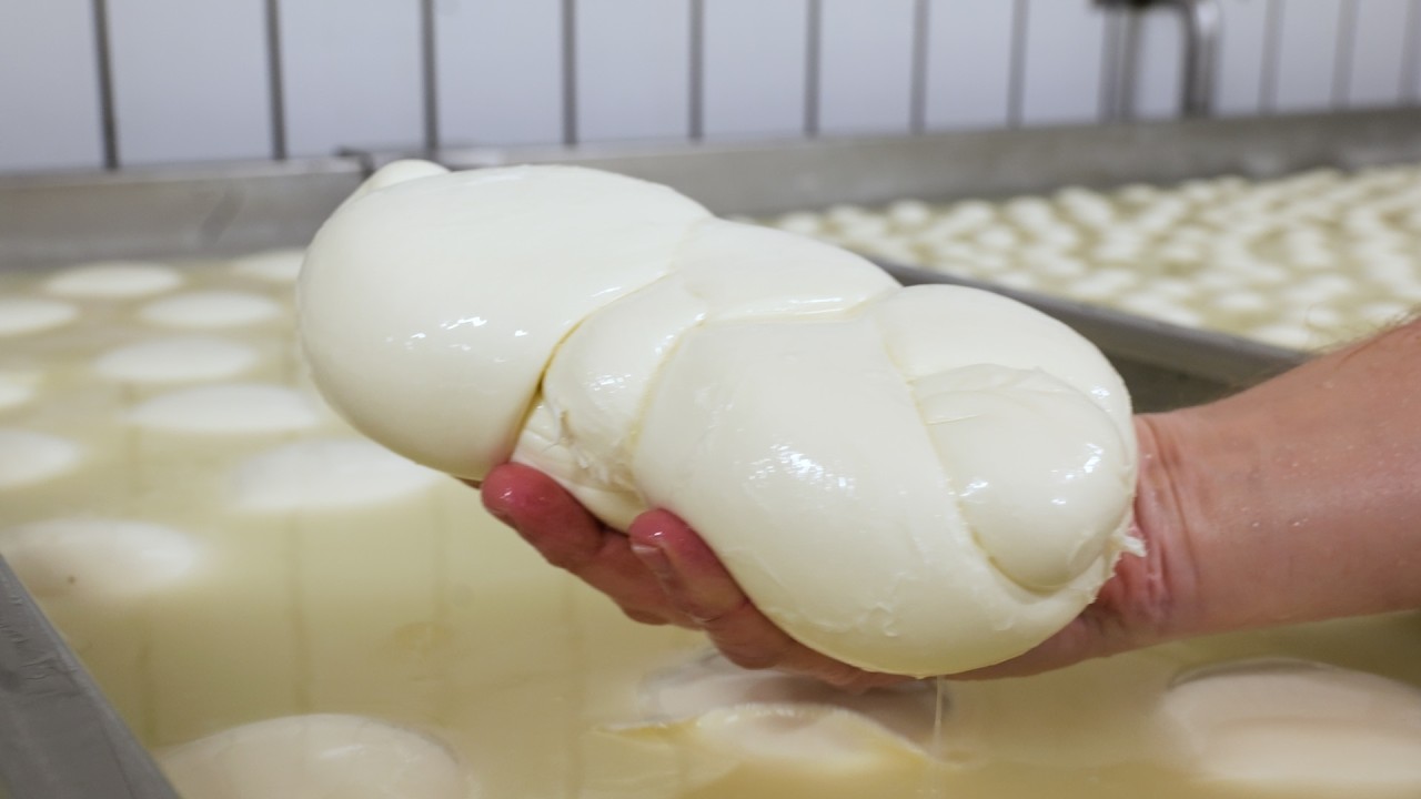 GIANT Buffalo Mozzarella: The 4kg Ball You Can Only Find Fresh in Southern Italy