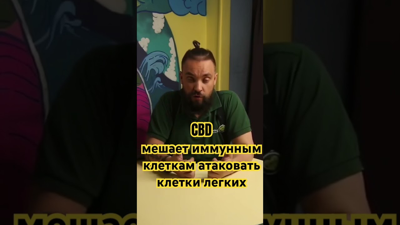 CBD мешает иммунным клеткам атаковать клетки легких при АСТМЕ #каннабидиол #здоровье