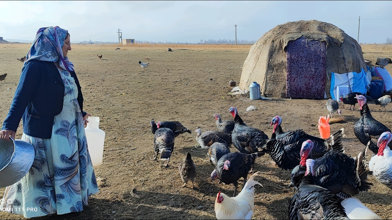 Challenges of nomadic life in freezing weather on the slopes of snowy mountains in Iran