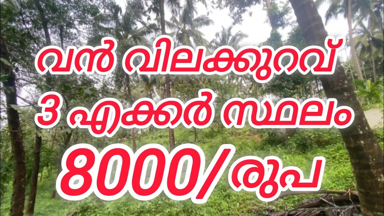 3acer land for sale #kerala#villa  #housenlands #vairal #houseplot #agriculture#realestate#property