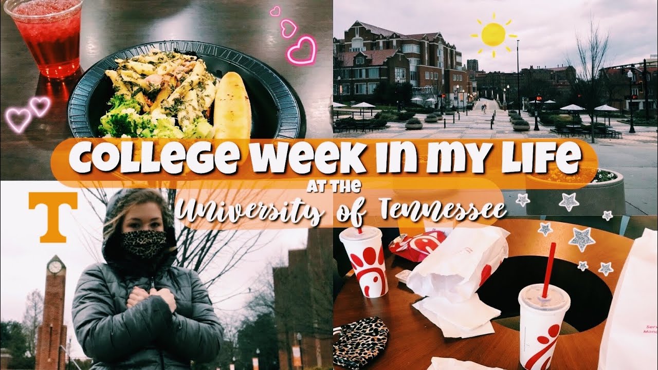 College Week in My Life || University of Tennessee Knoxville