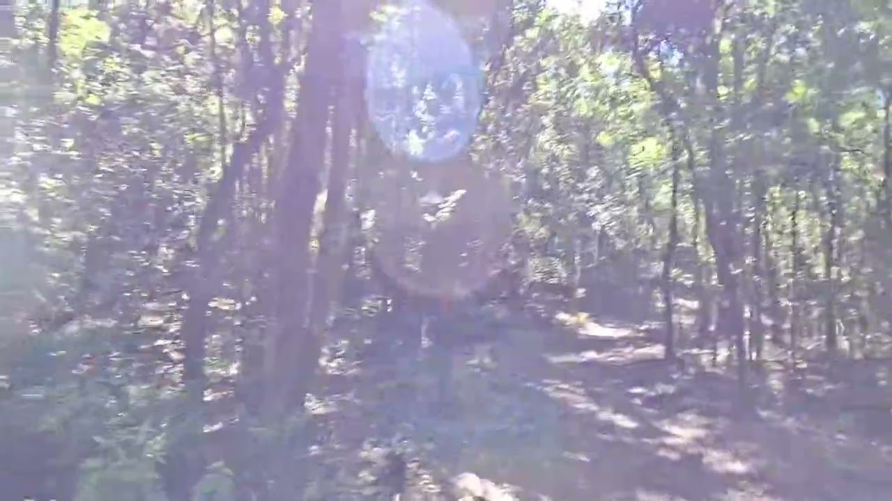 La Calera   Parque Nacional El Palmar   Parte 2