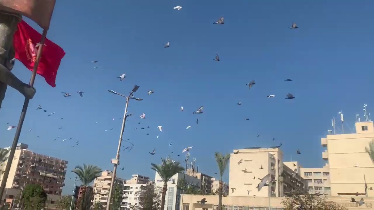 أحلى ميدان في مصر ولا يوجد له شبيه في أي مكان في العالم 