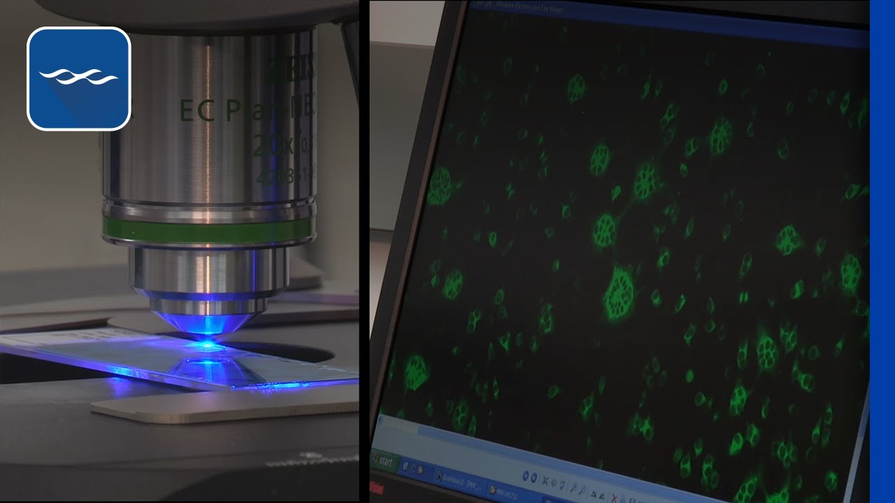 Research Animal Diagnostic Services