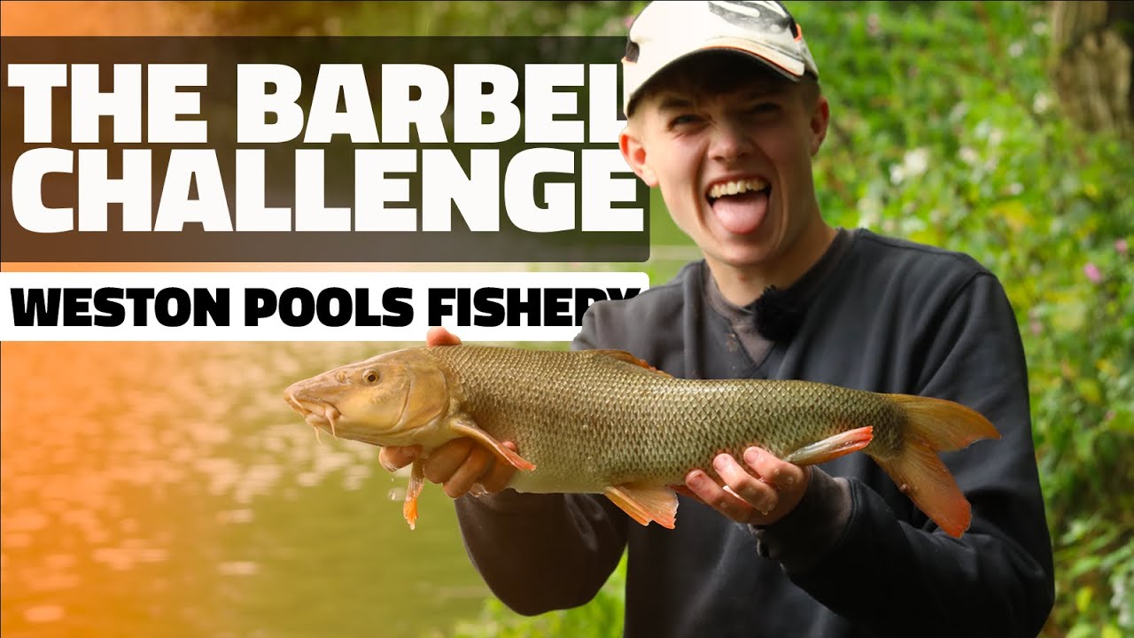 Catching Barbel At Weston Pools Fishery